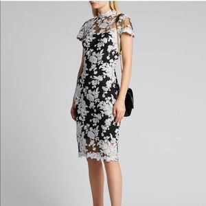 Tadashi Black White Lace Dress